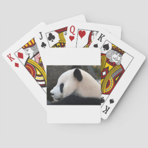 Baralho Abraços de urso da panda