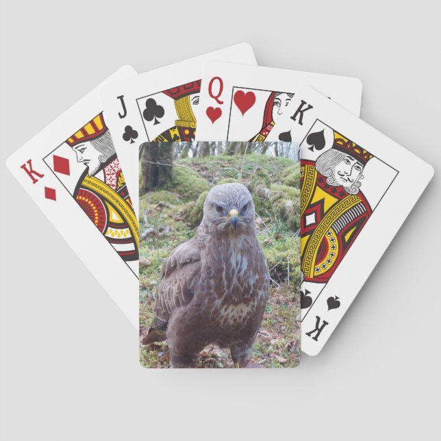 Baralho Abutre com Atitude – Ave de Rapina Divertida (Verso)