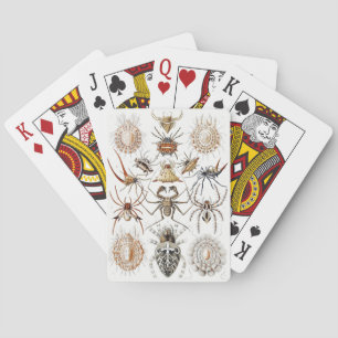 Baralho Academia Sombria Haeckel Vintage Aranha Simetria A