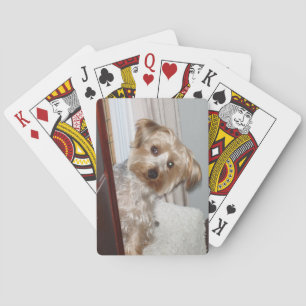 Baralho Adorável Westie/Yorkie