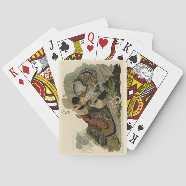 Baralho Agrupamento Rachado - das Aves da América de Audub (Verso)