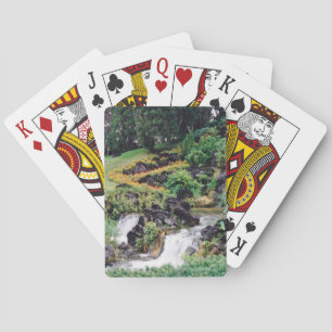 Baralho Água de cura