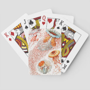 Baralho Água-viva, Desconto de Ernst Haeckel