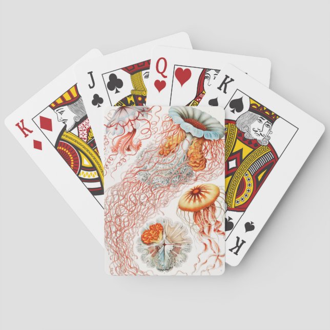 Baralho Água-viva, Desconto de Ernst Haeckel (Verso)