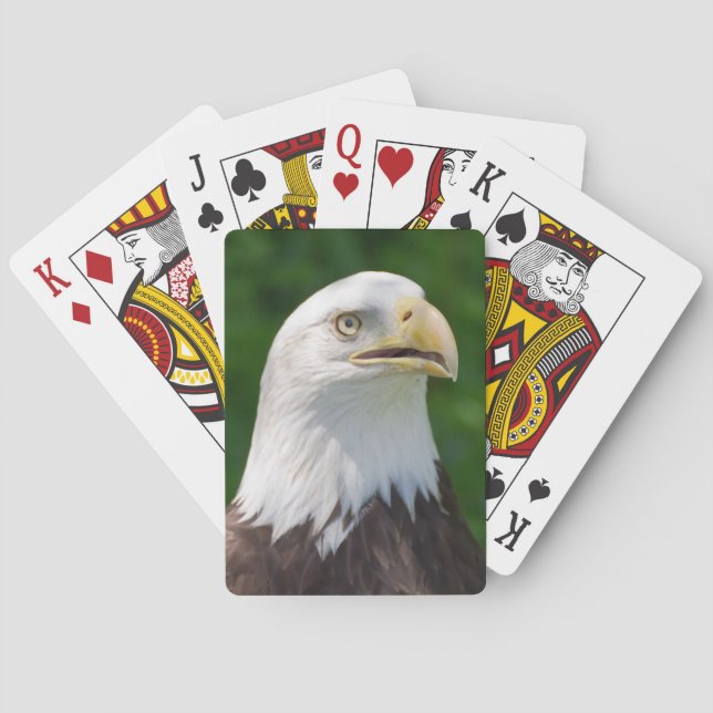 Baralho Águia americana (Verso)