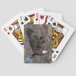 Baralho Águia-careca com um peixe-gato