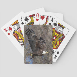 Baralho Águia-careca com um peixe-gato