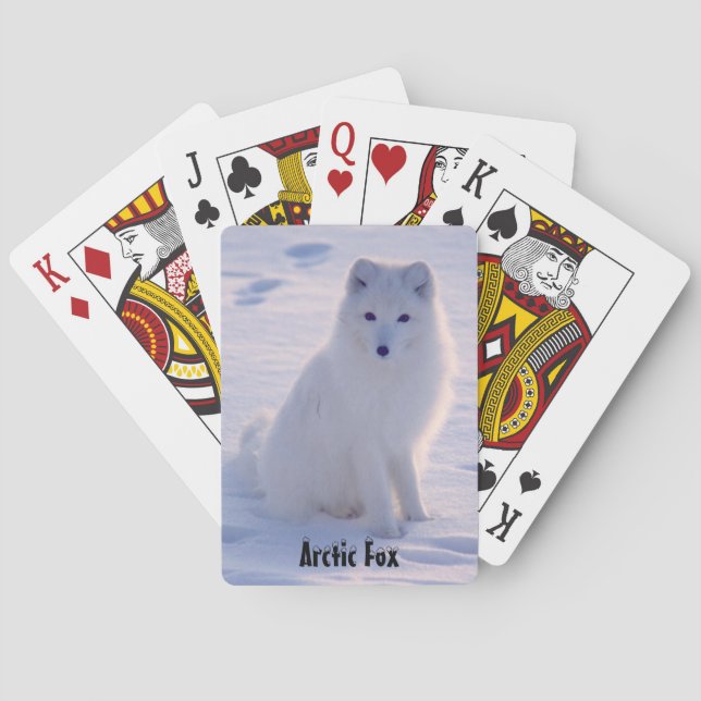 Baralho Alaskan White Fox Winter Pose (Verso)