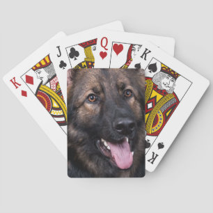 Baralho Alsatian do cão de german shepherd dos cartões d