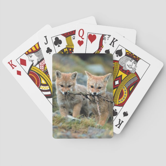 Baralho América do Sul, Chile, Nacional Torres del Paine (Verso)