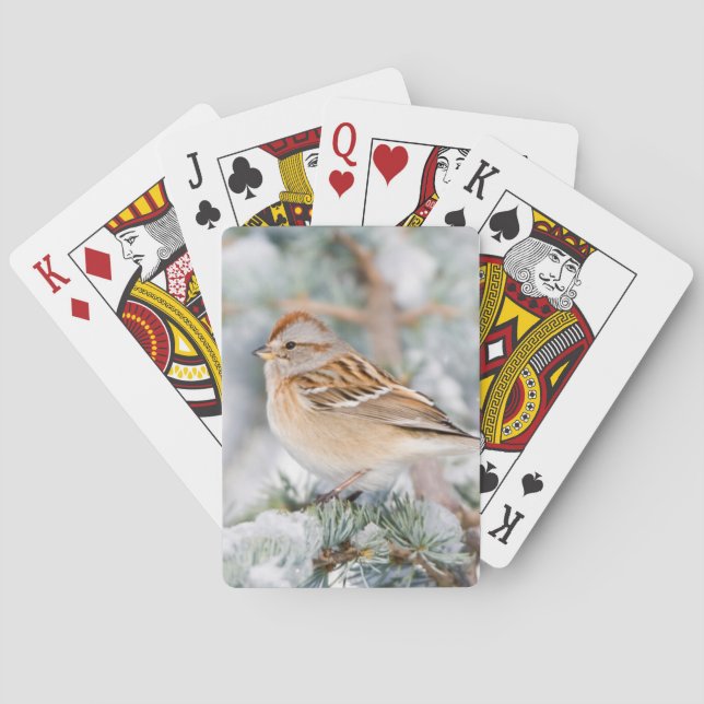 Baralho American Tree Sparrow no inverno (Verso)
