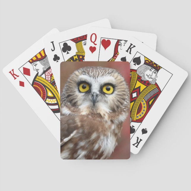 Baralho Amigos (Verso)