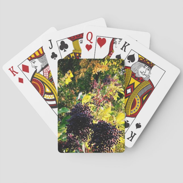 Baralho Amoras pretas (Verso)