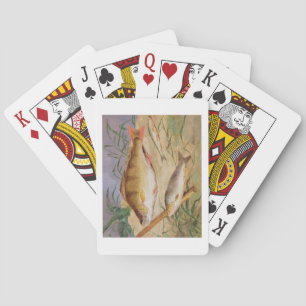 Baralho An Angler's Catch of Coarse Fish (oil on panel)