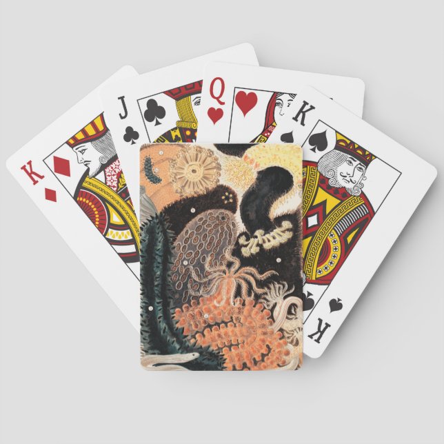 Baralho Anêmonas de recife de barreira (Verso)