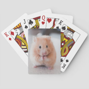 Baralho Animais de amores de hamster