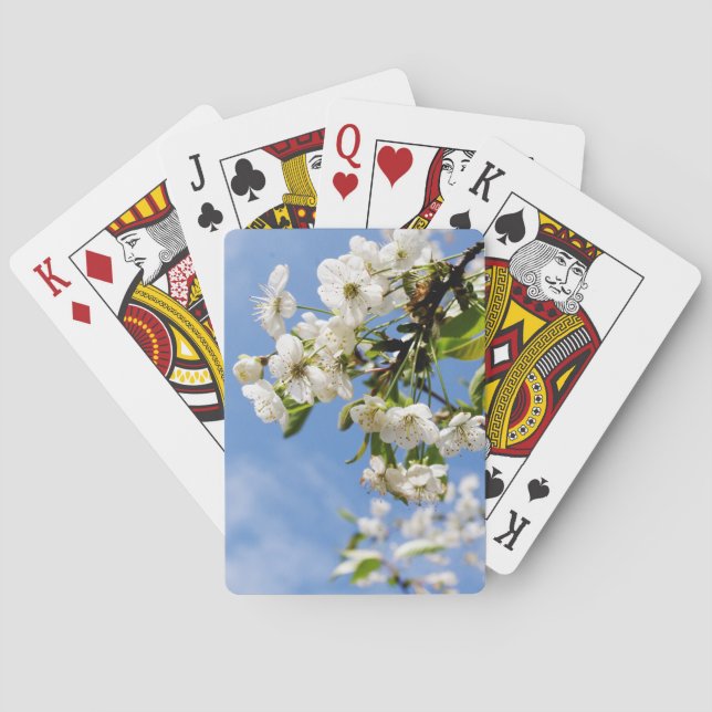 Baralho Apricot primavera floresce. (Verso)