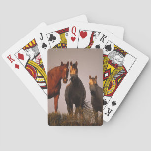 Baralho Árabes ao pôr do sol