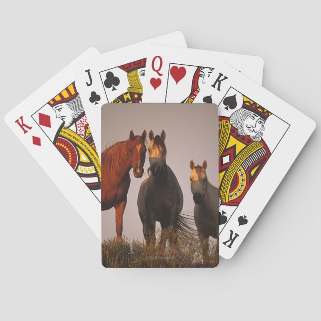 Baralho Árabes ao pôr do sol (Verso)