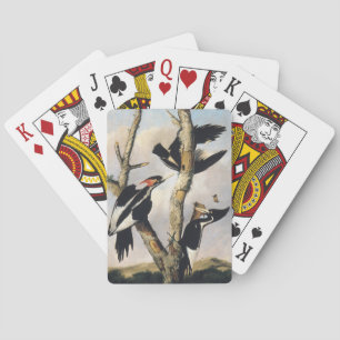 Baralho Arte Vintage de Audubon do Pica-Pau-Bico-de-Marfim