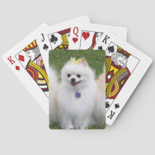Baralho Assento de 3 Pomeranians