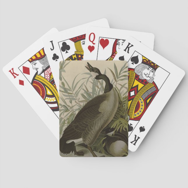 Baralho Audubon Canada Goose Willife Bird (Verso)