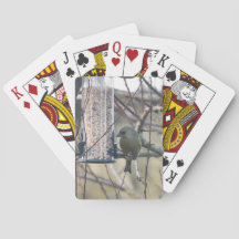 Ave alimentando cartões de jogar