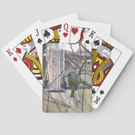 Baralho Ave alimentando cartões de jogar