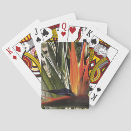 Baralho Ave do Paraíso Strelitzia Reginae - Painti acrílic