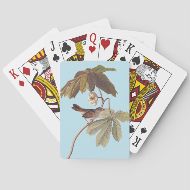 Baralho Ave-pássaro-brava do pântano de Audubon em Mandrak (Verso)