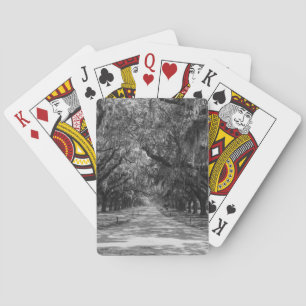 Baralho Avenida De Oaks Escala De Cinza