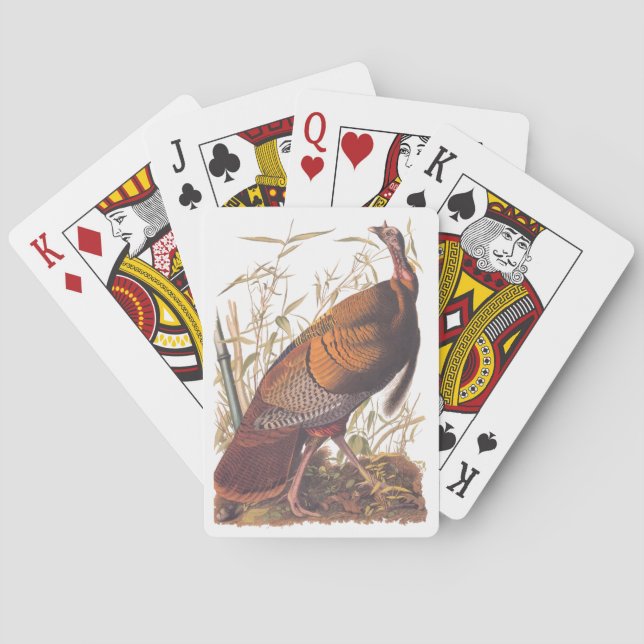 Baralho Aves da América Selvagem Turca do Audubon (Verso)