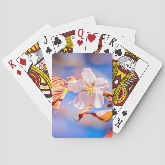 Baralho Azul-céu cor-de-rosa Sakura (Verso)