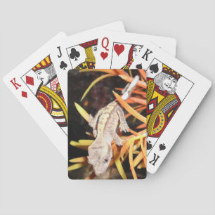 Baralho Baby Crested Gecko