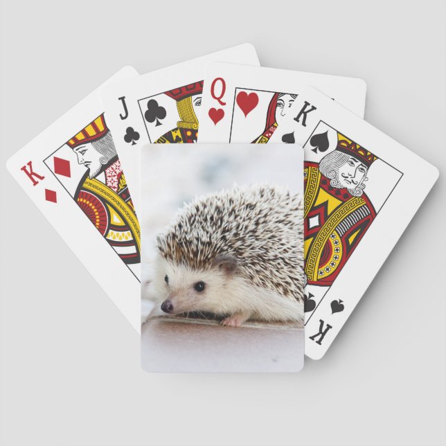 Baralho Baby Hedgehog (Verso)