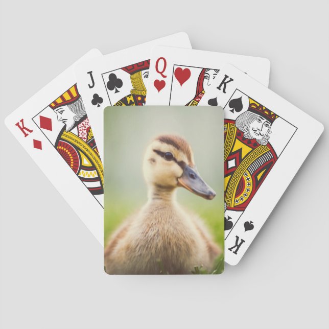 Baralho Baby Mallard Ducking (Verso)