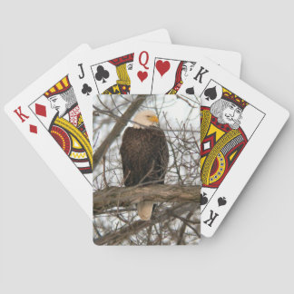 Baralho Bald Eagle Pinery