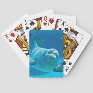 Baralho Baleia da beluga
