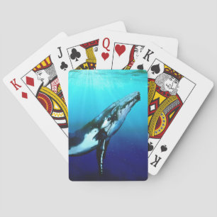 Baralho Baleia de Humpback