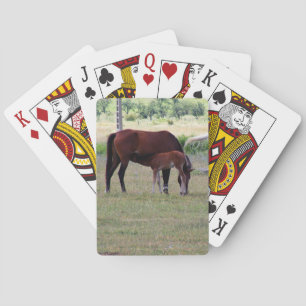 Baralho Baralho, Fotografia da Família de Cavalos Pastando