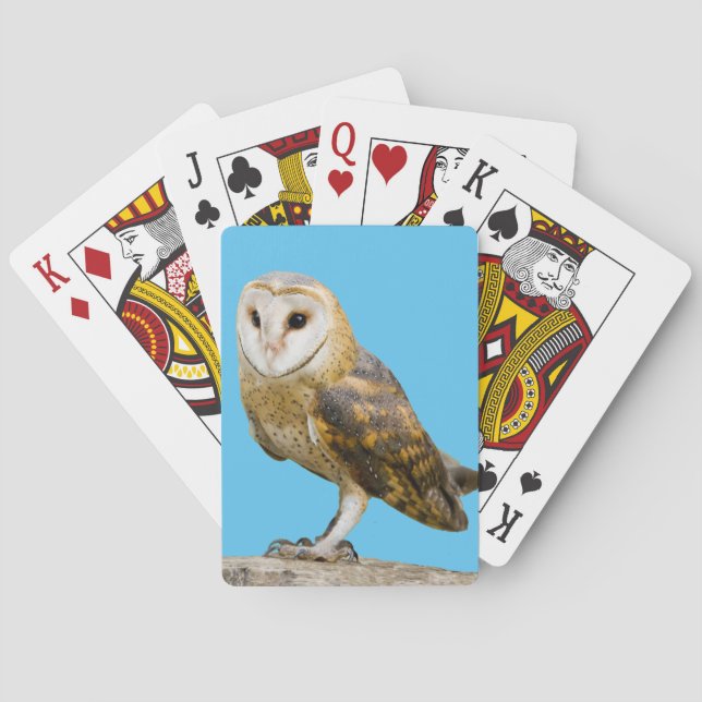 Baralho Barn Owl (Verso)