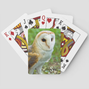 Baralho Barn Owl Jogando cartas