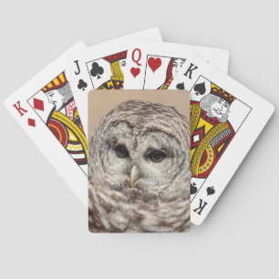 Baralho Barred Owl