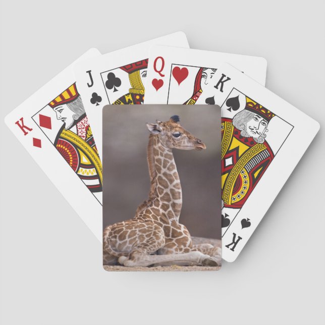 Baralho Bebê Girafa Jogando Cartas (Verso)