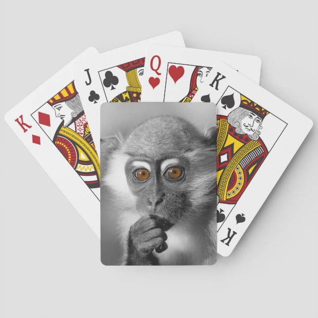 Baralho Bebê Mangabey Mackey (Verso)