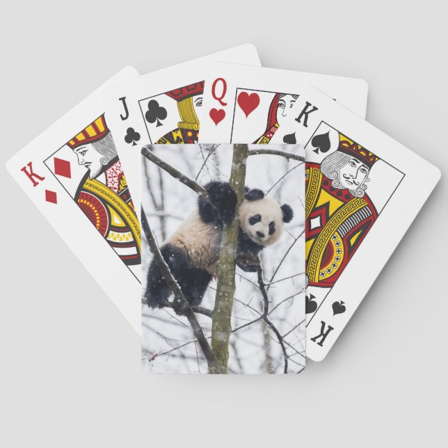Baralho Bebê Panda na Árvore (Verso)