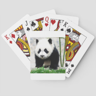 Baralho Bebês Mais Pobres Bebê-Panda