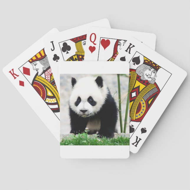 Baralho Bebês Mais Pobres | Bebê-Panda (Verso)