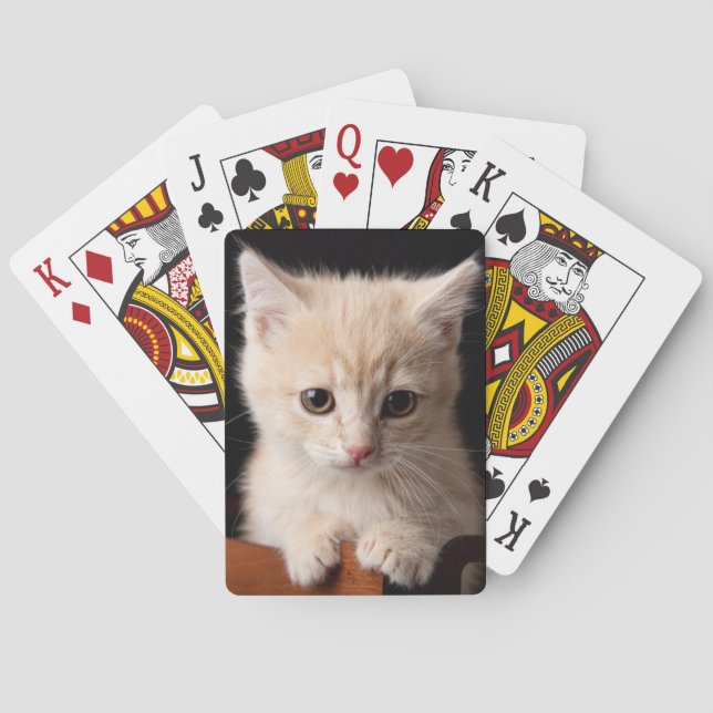 Baralho Bebês Mais Pobres | Ginger Kitten (Verso)