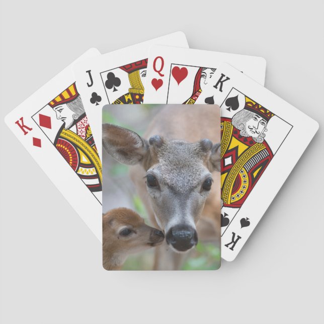 Baralho Bebês Mais Pobres | Key Deer Stag & Fawn (Verso)